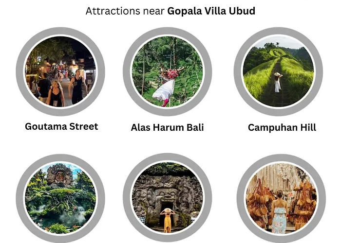 Guest house Gopala 3*